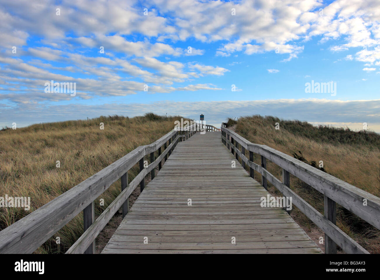 Fußweg zum Meer, Fire Island, Long Island, NY Stockfoto