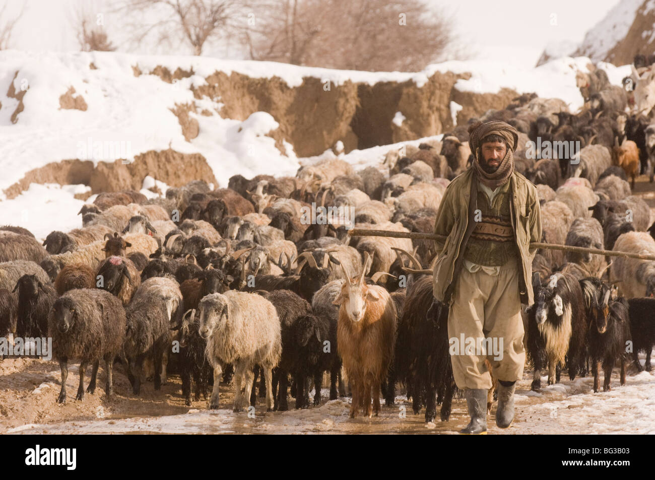 Afghanische Shepard in der Provinz Faryab, Afghanistan Stockfoto