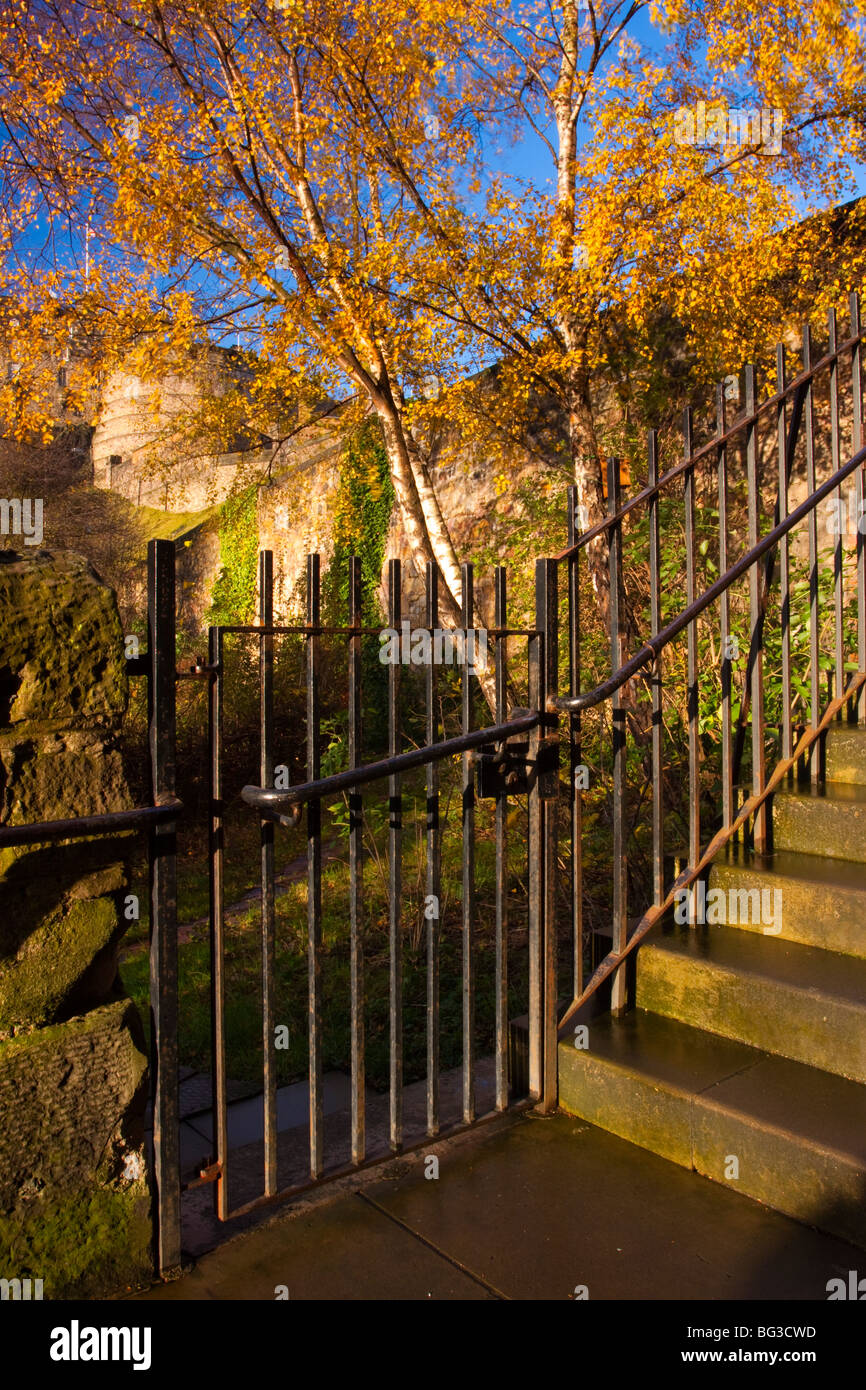 Schottland, Edinburgh, Johnston Terrasse Wildlife Reserve. Johnston Terrasse Wildlife Reserve, einem Scottish Wildlife Trust Garten Stockfoto