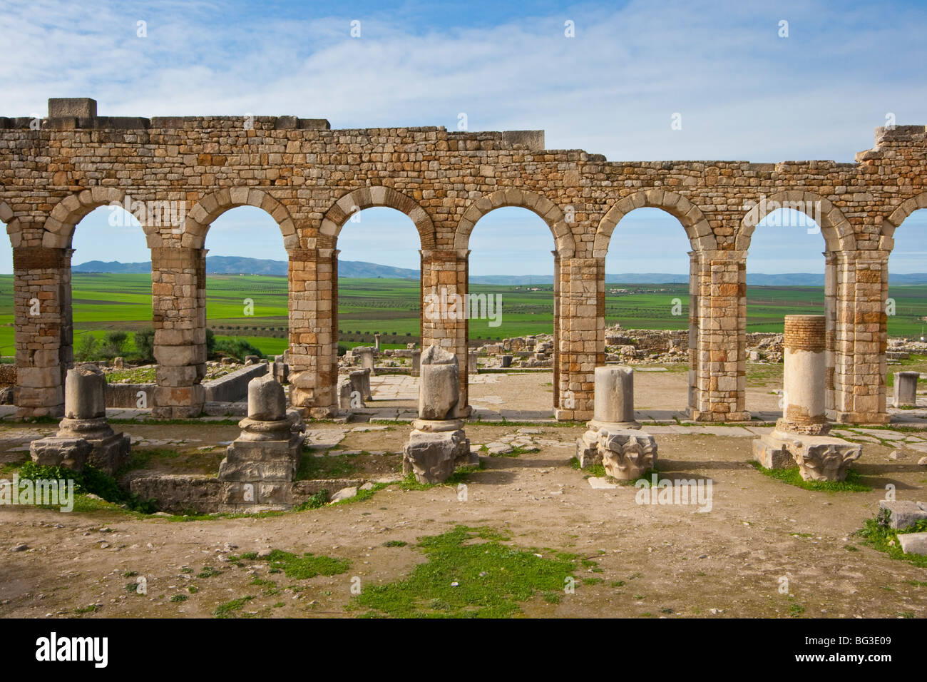 Romanische Basilika Ruinen in Volubilis in Marokko Stockfoto