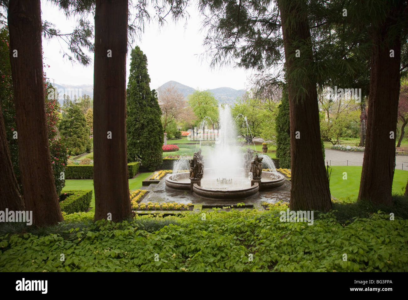 Die Gärten der Villa Taranto, Verbania, Lago Maggiore, Piemont, Italien, Europa Stockfoto