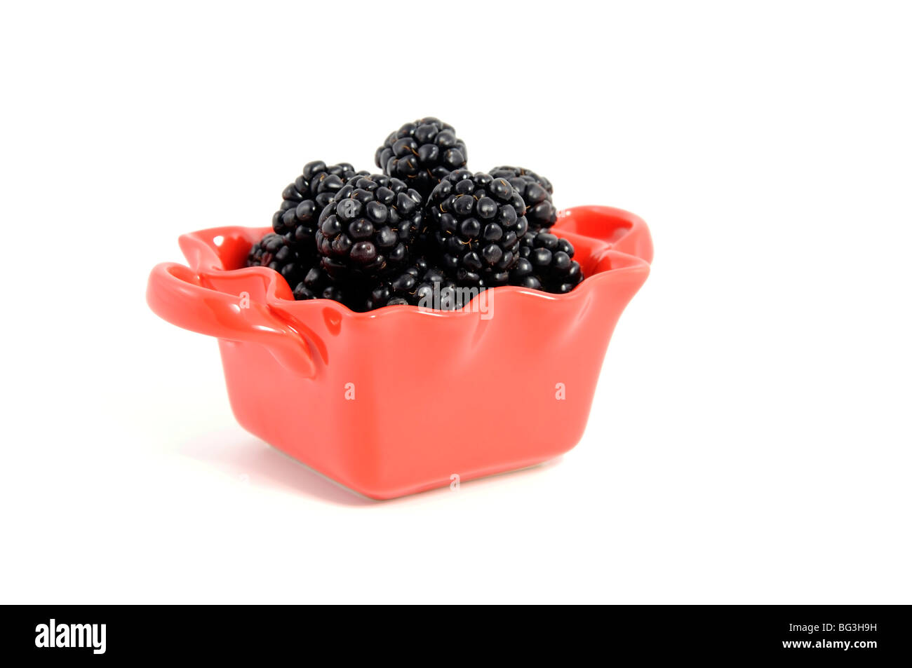 Brombeeren Stockfoto