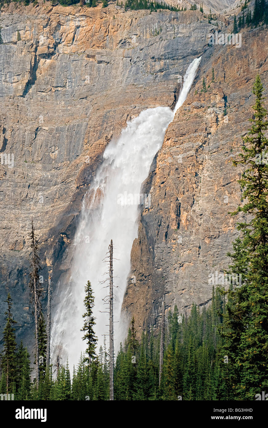 Der Takakaw fällt der Yoho Nationalpark, Britisch-Kolumbien, Kanada Stockfoto