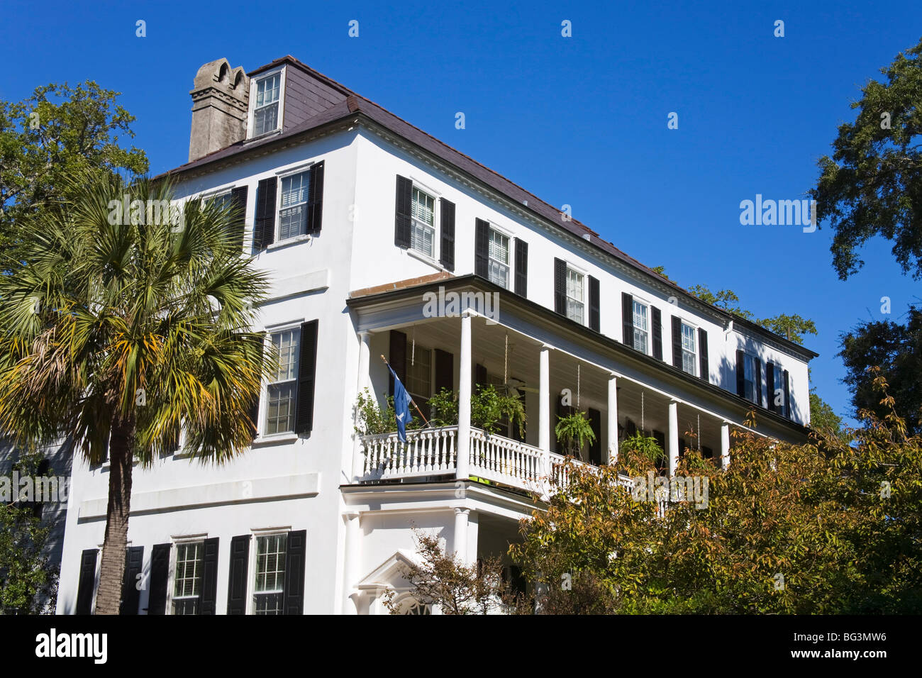 Südstaaten, Charleston, South Carolina, Vereinigte Staaten von Amerika, Nordamerika Stockfoto