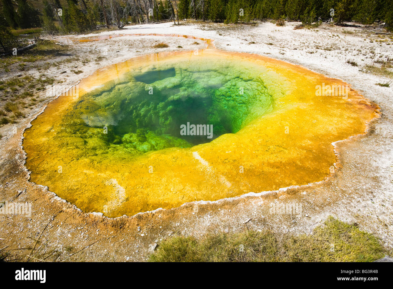 Morning Glory Pool und Touristen im Yellowstone-Nationalpark, Wyoming, USA. Stockfoto