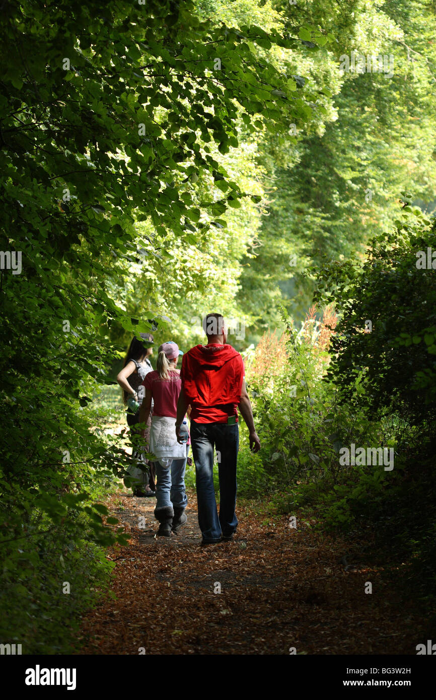 Drei 3 Menschen wandern in Wäldern an der National Botanic Garden von Belgien bei Meise (bei Brüssel) in Flämisch-Brabant, Belgien Stockfoto