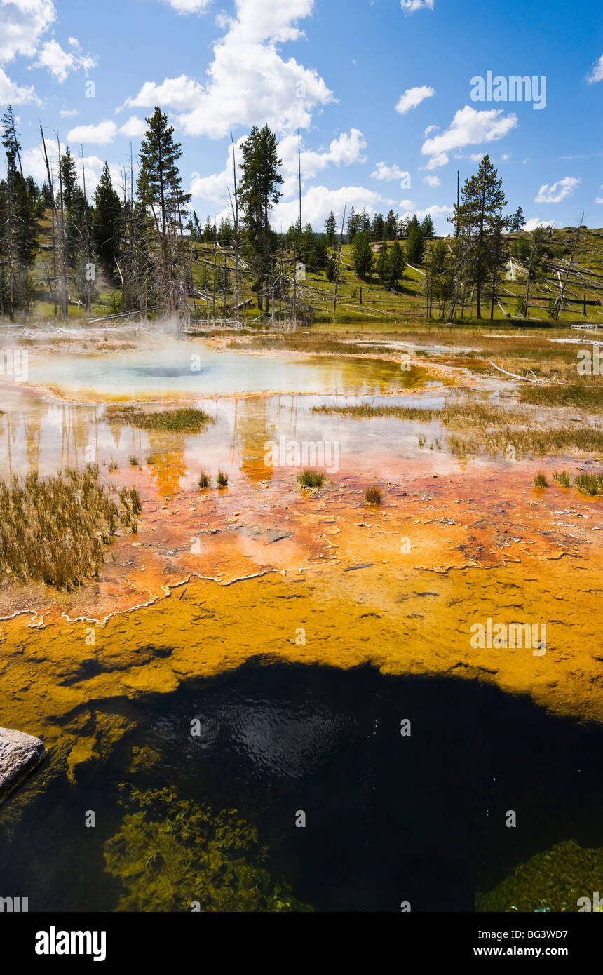 Orange-Frühling in Upper Geyser Basin, Yellowstone-Nationalpark, Wyoming, USA. Stockfoto