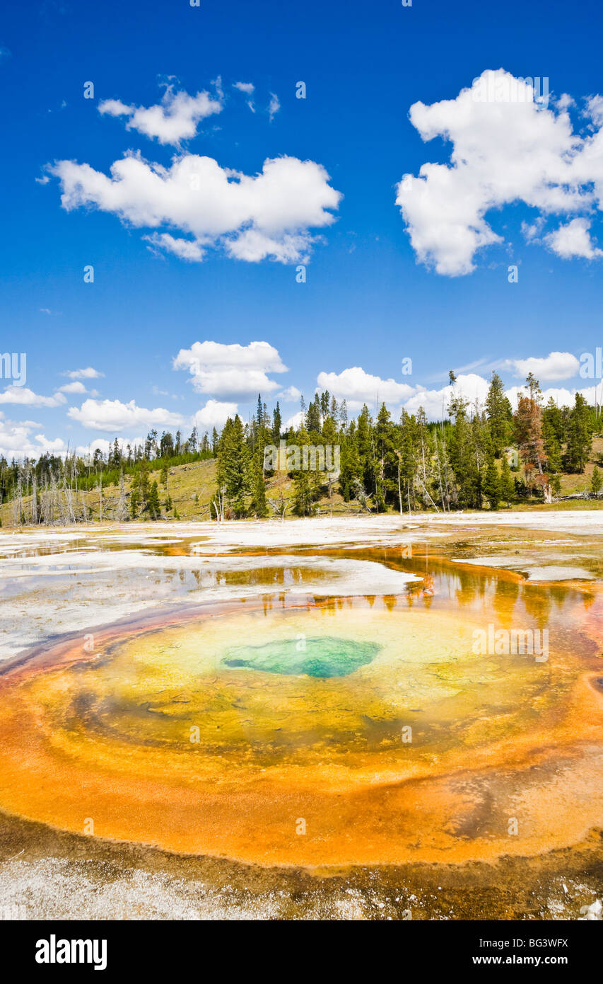 Die chromatischen Pool in Upper Geyser Basin, Yellowstone-Nationalpark, Wyoming, USA. Stockfoto