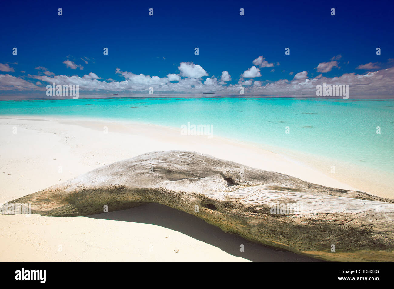 Treibholz am Strand, Malediven, Indischer Ozean, Asien Stockfoto