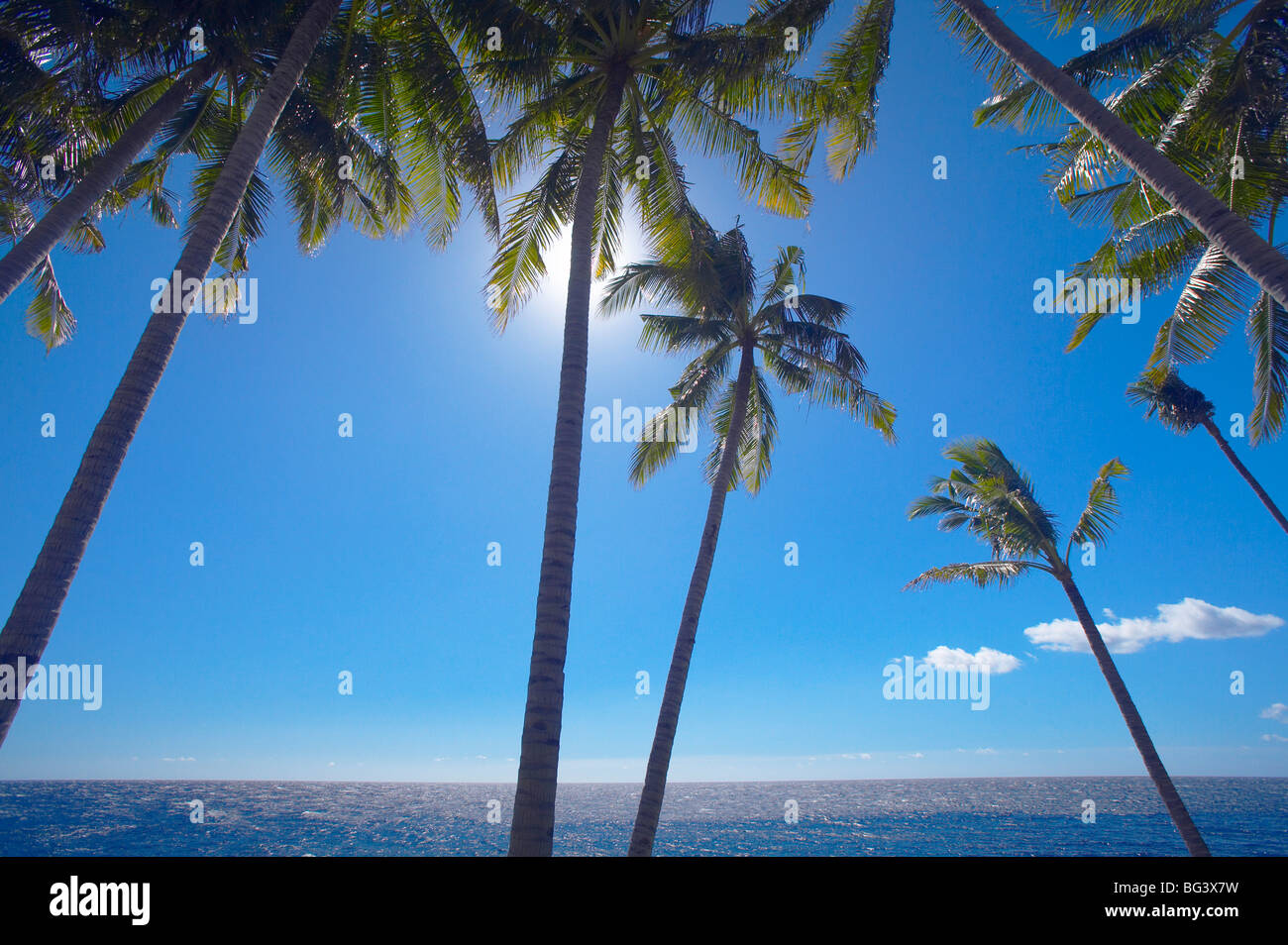 Palmen am tropischen Strand, Bali, Indonesien, Südostasien, Asien Stockfoto