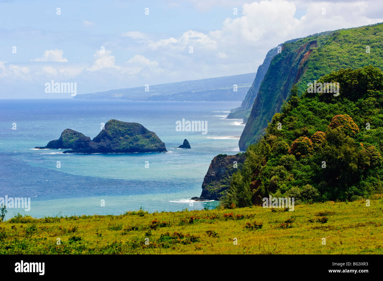 Pololu Valley, Kapaau Küste, Big Island, Hawaii, Vereinigte Staaten von Amerika, Pazifik, Nordamerika Stockfoto