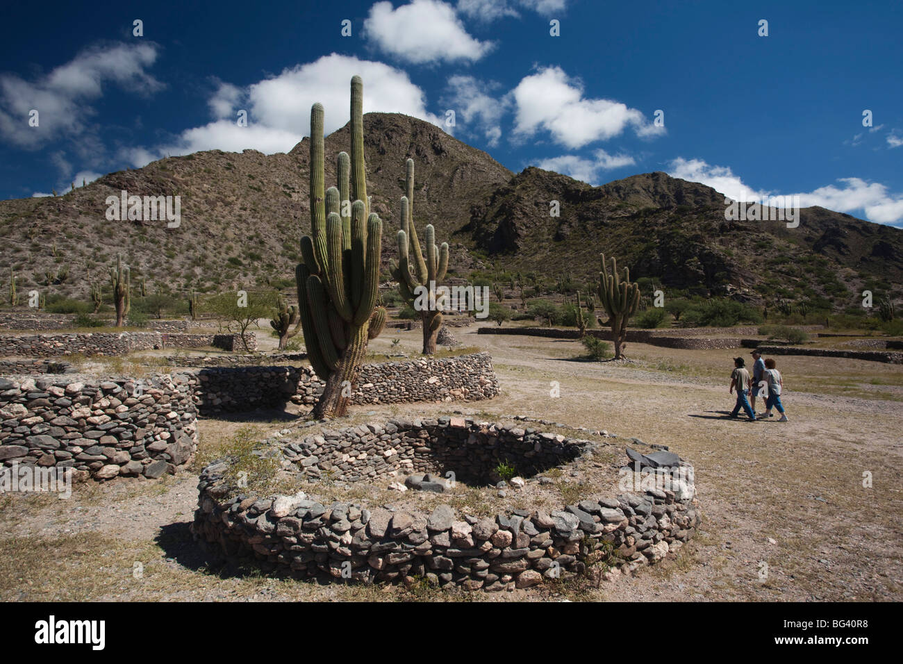 Ruinen der alten indigenen Siedlung aus 1000 und Kaktus, Quilmes, Provinz Tucuman, Argentinien Stockfoto