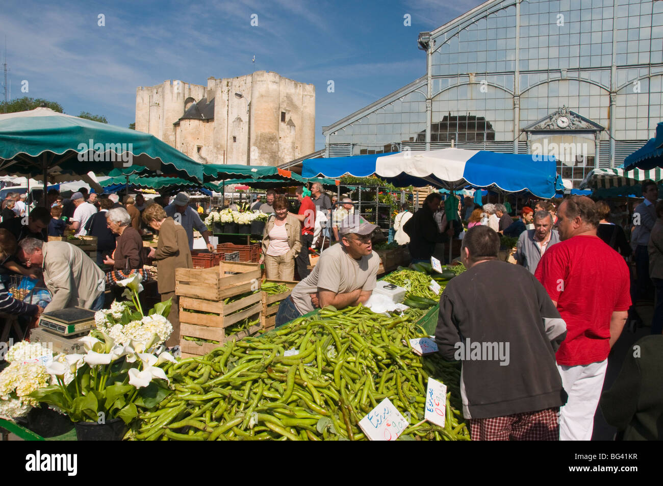 Stangenbohnen zum Verkauf an den open-air-Markt, Niort, Deux-Sèvres, Poitou-Charentes, Frankreich, Europa Stockfoto