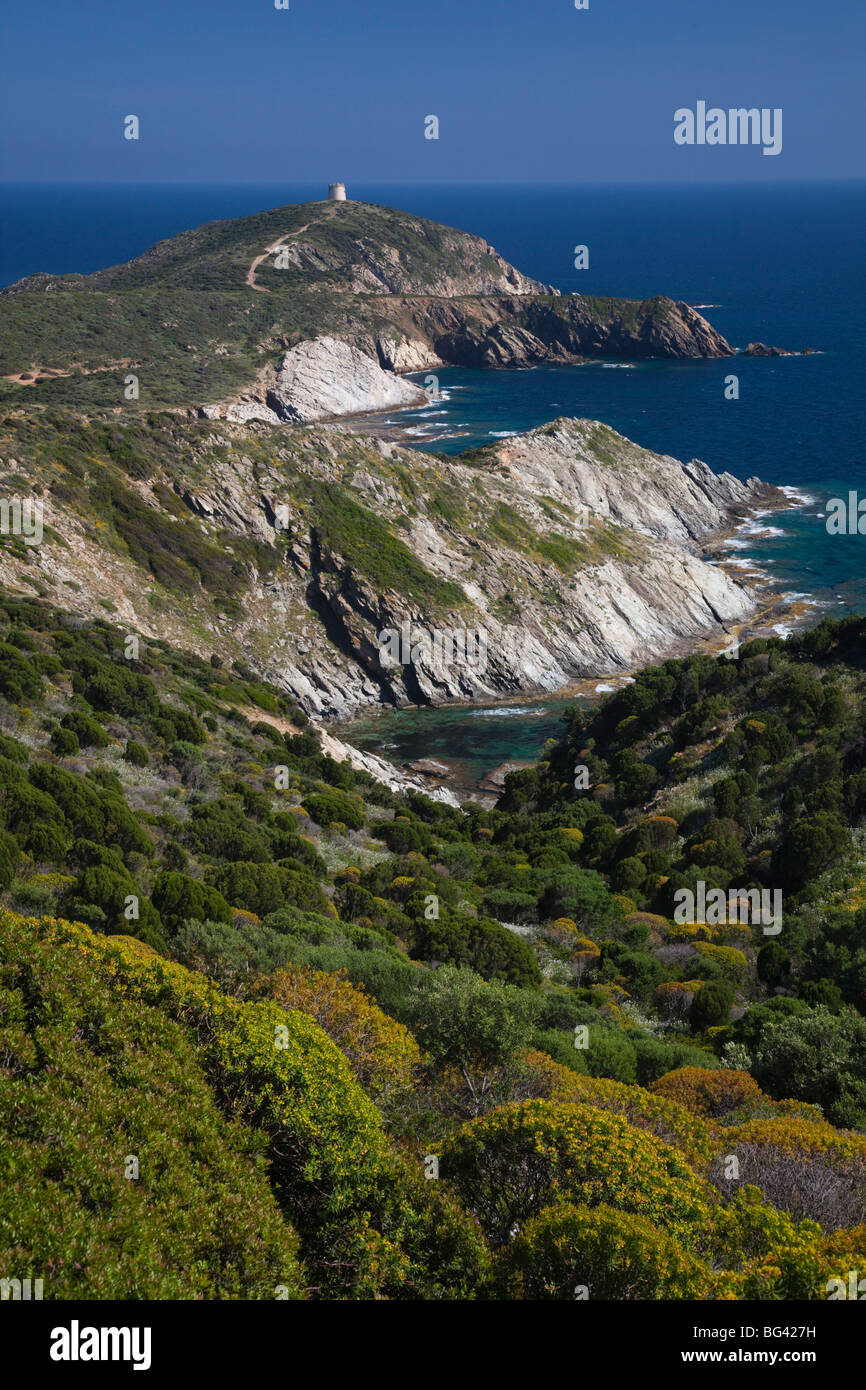 Italien, Sardinien, Süd-West Sardinien, Capo Malfatano Landschaft Stockfoto