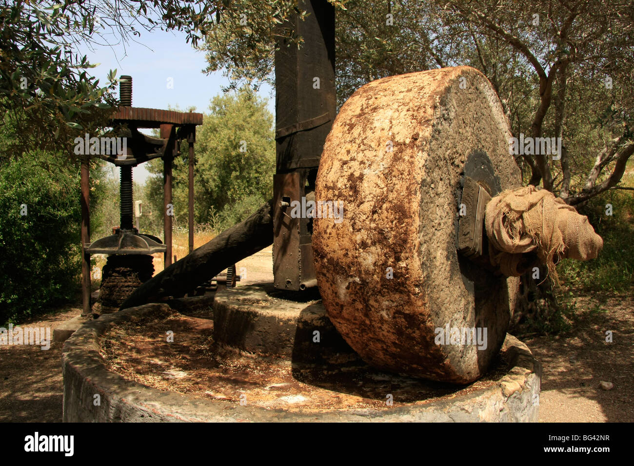 Israel, führte. Alte Ölmühle in Neot Kedumim, biblische Landschaftsschutzgebiet Stockfoto