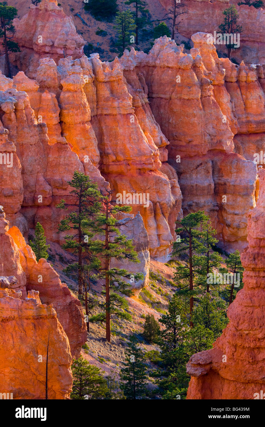 USA, Utah, Bryce-Canyon-Nationalpark, in der Nähe von Sunset Point Stockfoto