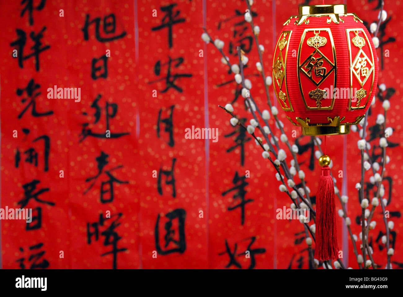 Chinesisches Neujahr Dekoration--traditionellen Laterne und Siverbud Weiden auf einem festlichen Hintergrund. Stockfoto