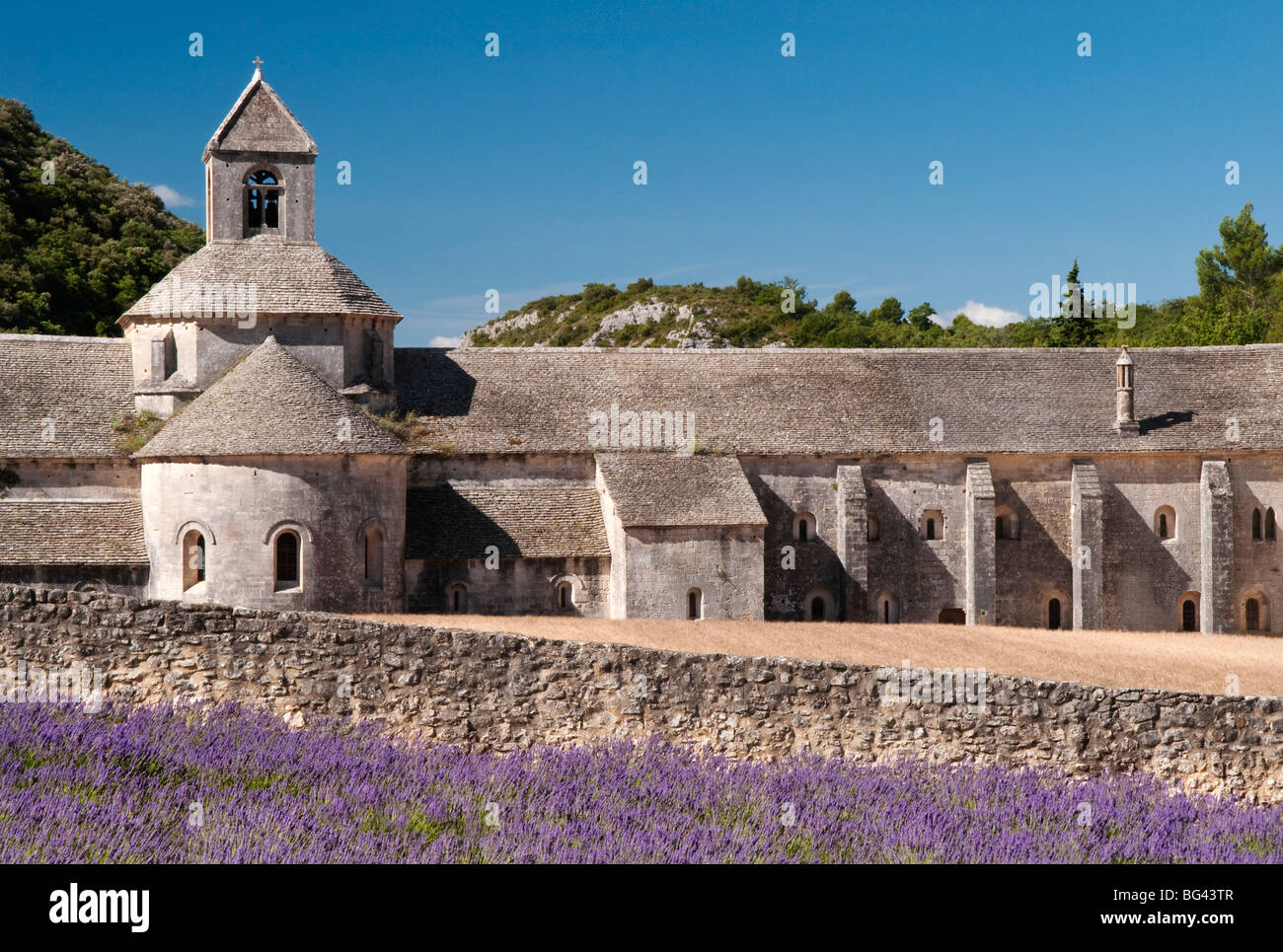 Senanque Abbey, Provence, Frankreich Stockfoto
