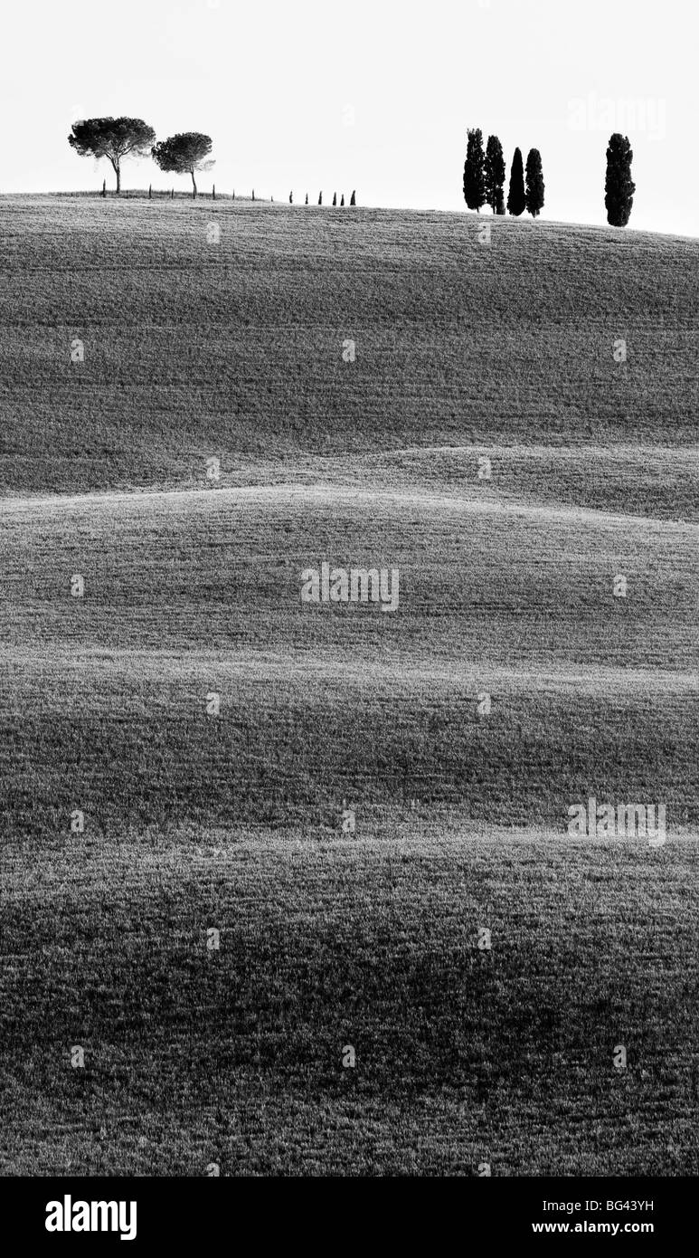 Klassischen toskanischen Landschaft, in der Nähe von San Quirico, Valle de Orcia, Toskana, Italien Stockfoto