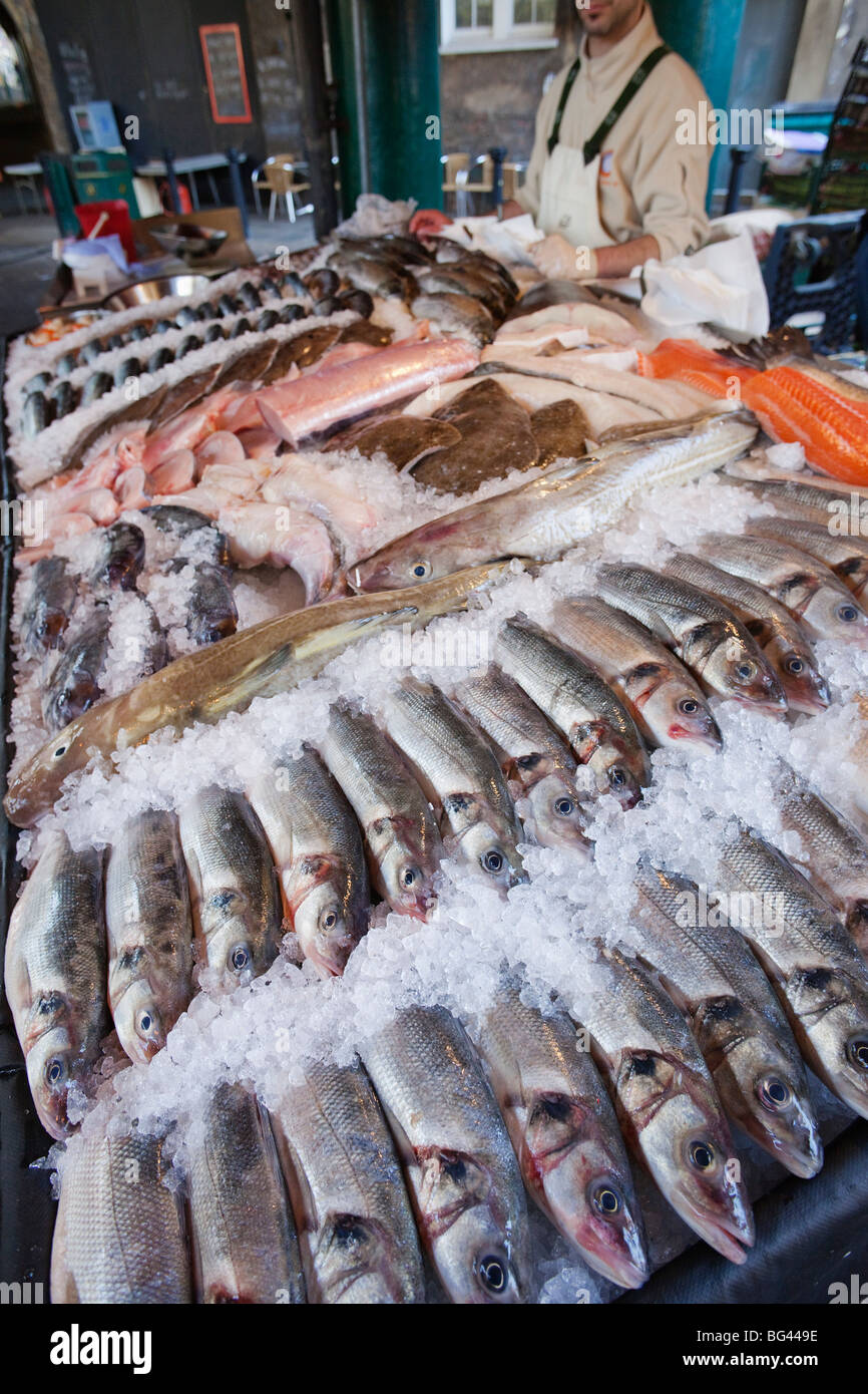 England, London, Southwark, Borough Market, Meeresfrüchte Stall, Fisch Display Stockfoto