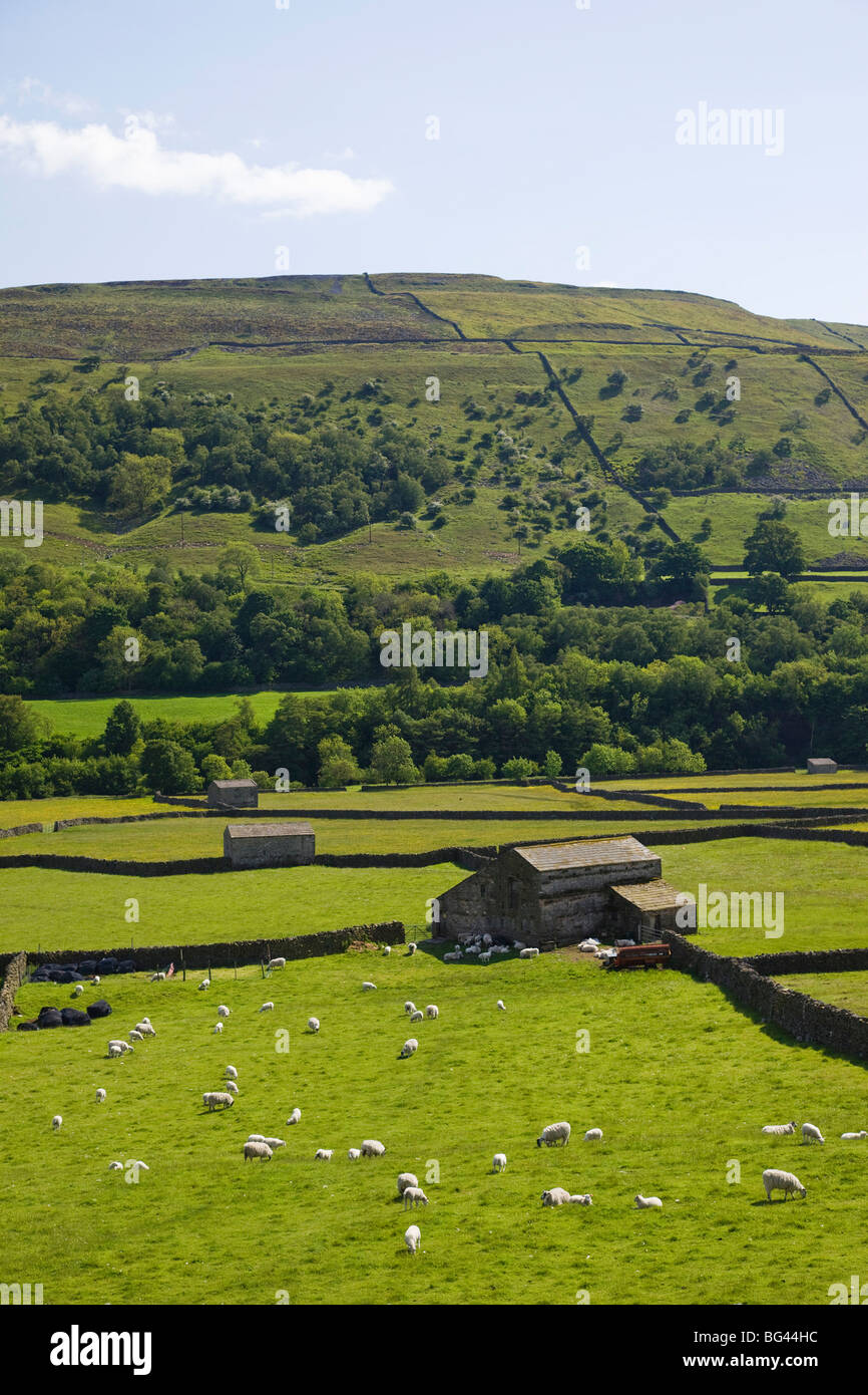 England, Yorkshire, Yorkshire Dales, Swaledale Stockfoto