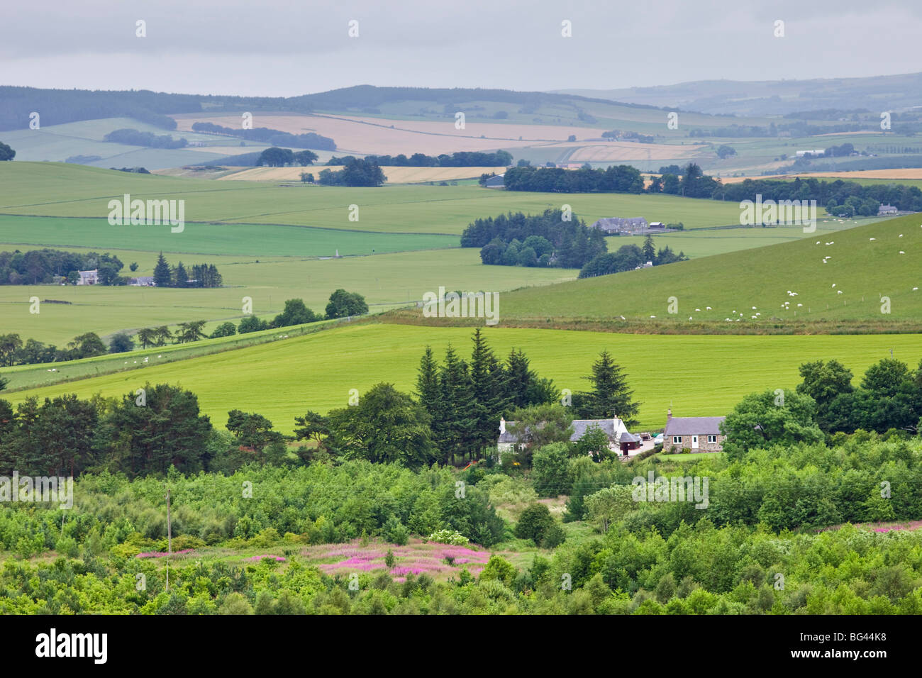 Schottland, Aberdeenshire, Blick auf die Landschaft Stockfoto