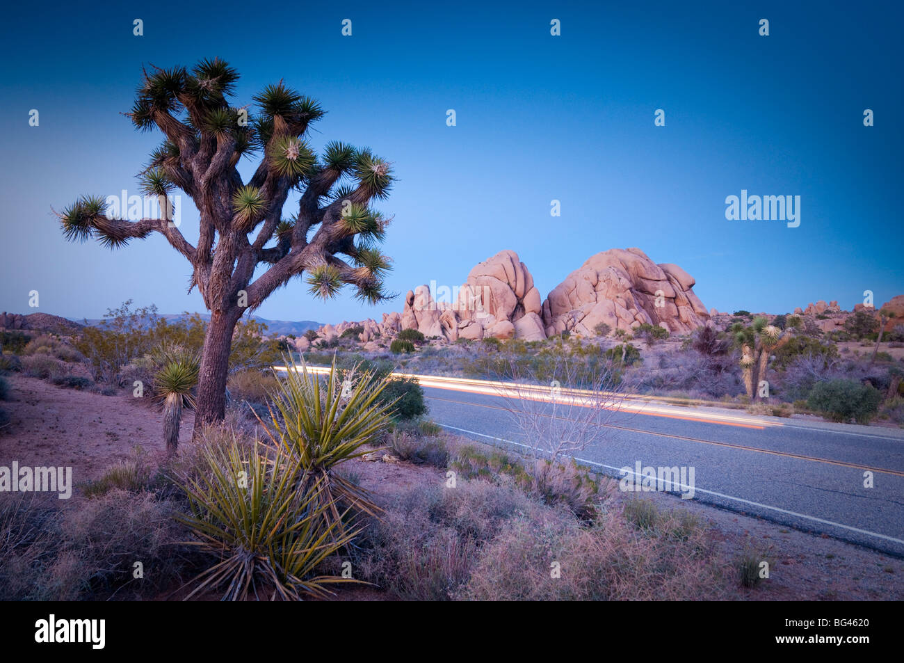 USA, California, Joshua Tree Nationalpark Stockfoto