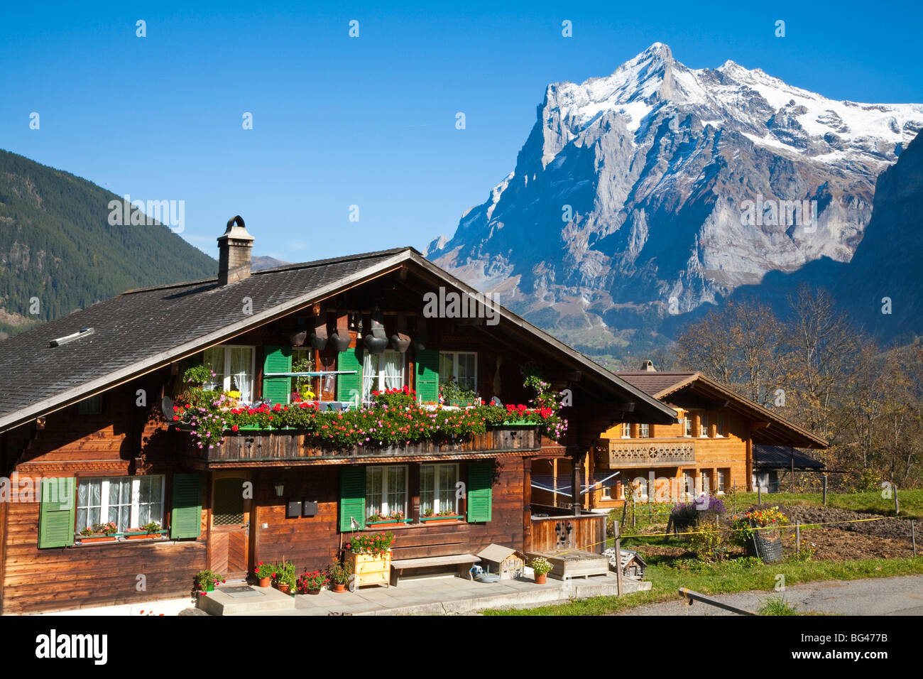 Traditionelle Häuser, Wetterhorn & Grindelwald, Berner Oberland, Schweiz Stockfoto