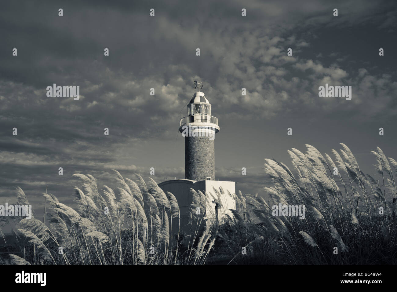 Uruguay, Montevideo, Punta Brava Leuchtturm, morgen Stockfoto