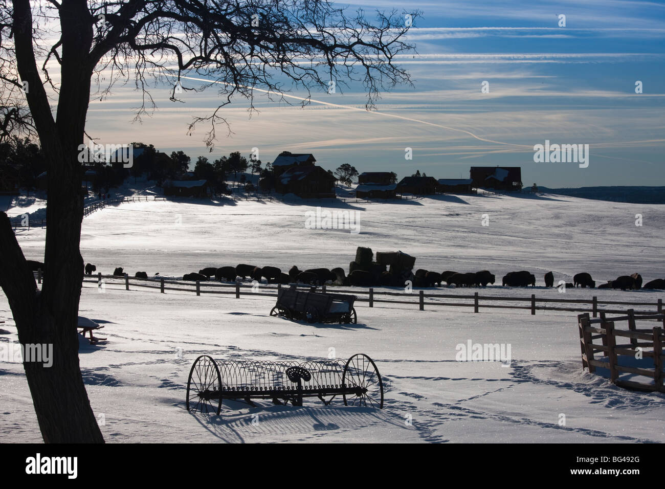 USA, Utah, Mt. Carmel Junction, Buffalo Ranch, winter Stockfoto