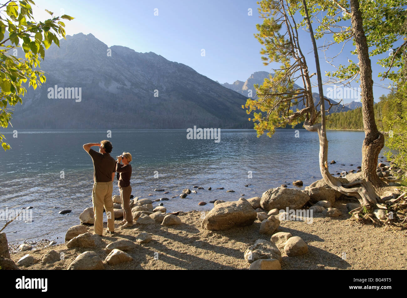 Jenny Lake, Grand-Teton-Nationalpark, Wyoming, USA Stockfoto