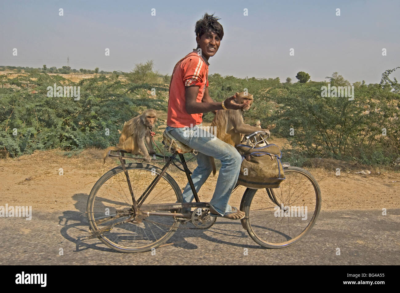 Junger Mann Radfahren mit zwei Affen, Tonk Bezirk, Rajasthan, Indien, Asien Stockfoto