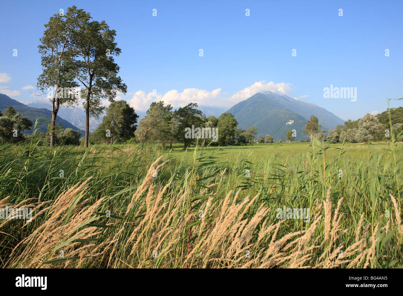 Landschaft in der Nähe von Colico, Lombardei, Italien, Europa Stockfoto