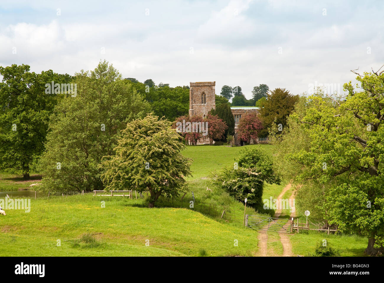 Die Knightley Weg Wanderweg vorbei an der Kirche auf dem Fawsley Anwesen Northamptonshire, England Stockfoto