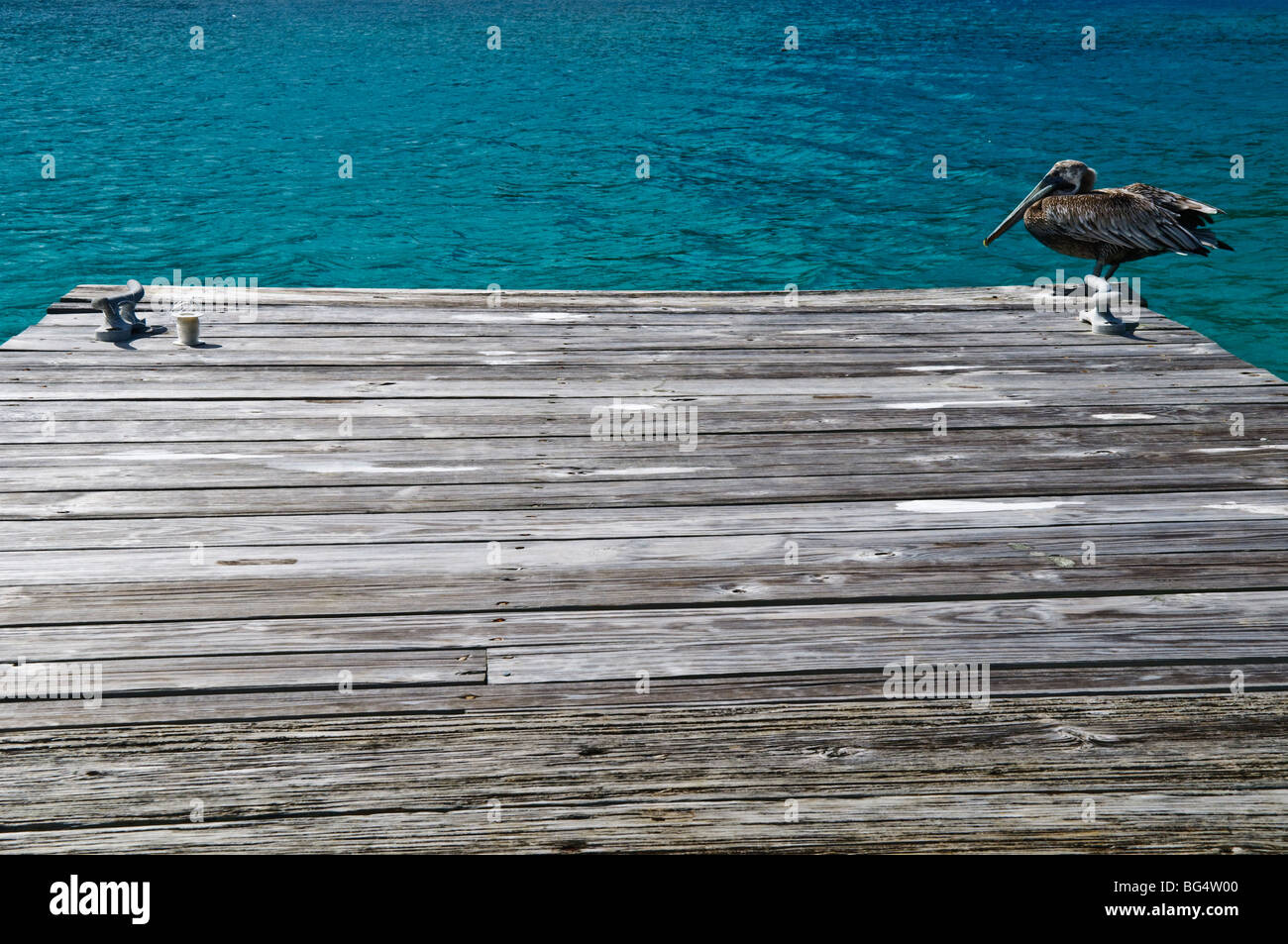 Pelican on Dock Jost Van Dyke British Virgin Islands // JOST VAN DYKE, British Virgin Islands — Abe's Restaurant auf Jost Van DYKE. Jost Van Dyke Island ist ein malerisches karibisches Reiseziel, das für seine unberührten Strände, das klare türkisfarbene Wasser und die entspannte Atmosphäre bekannt ist. Diese kleine Insel, Teil der Britischen Jungferninseln, zieht Besucher mit ihrer natürlichen Schönheit, pulsierenden Strandbars und Möglichkeiten zum Segeln und Schnorcheln an. Die Insel ist ein beliebter Ort für Touristen, die einen ruhigen Kurzurlaub in einem tropischen Paradies suchen. Stockfoto