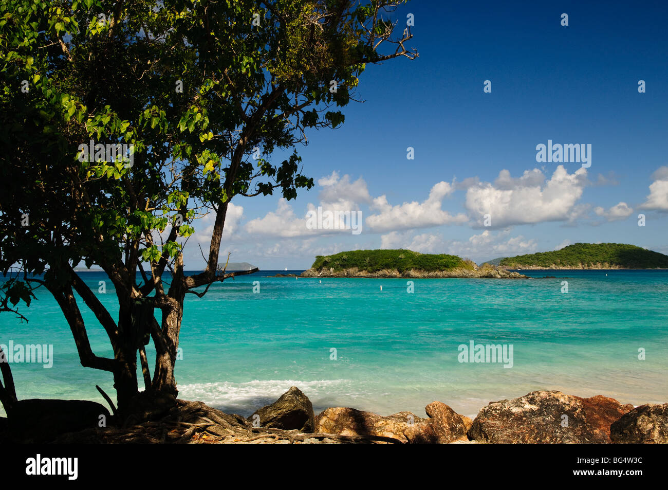 Cinnamon Bay Beach St John US Virgin Islands // CINNAMON BAY, US Virgin Islands – Ein malerischer Blick auf Cinnamon Bay, einen unberührten tropischen Strand am Nordufer von St. John auf den US Virgin Islands. Der halbmondförmige Strand mit seinem weißen Sand und türkisfarbenem Wasser ist von üppiger Vegetation umgeben, was die natürliche Schönheit der Karibik veranschaulicht. Stockfoto