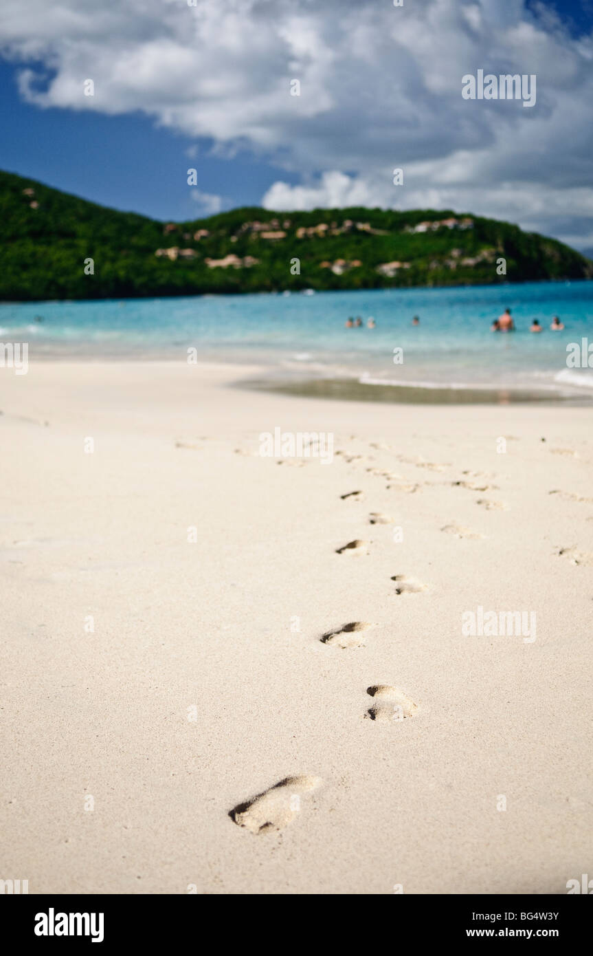 Cinnamon Bay Beach St John US Virgin Islands // CINNAMON BAY, US Virgin Islands – Ein malerischer Blick auf Cinnamon Bay, einen unberührten tropischen Strand am Nordufer von St. John auf den US Virgin Islands. Der halbmondförmige Strand mit seinem weißen Sand und türkisfarbenem Wasser ist von üppiger Vegetation umgeben, was die natürliche Schönheit der Karibik veranschaulicht. Stockfoto