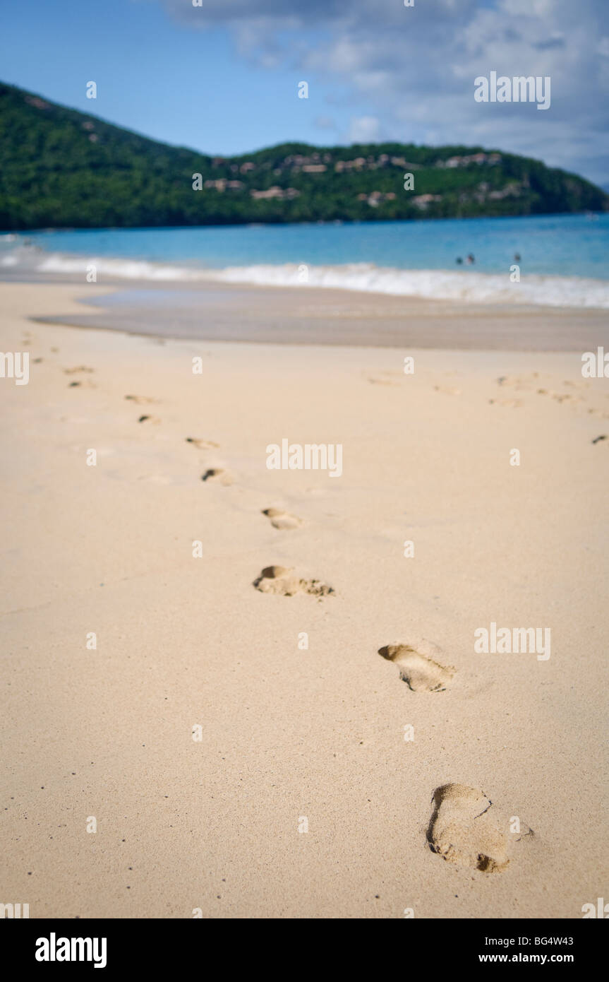 Cinnamon Bay Beach St John US Virgin Islands // CINNAMON BAY, US Virgin Islands – Ein malerischer Blick auf Cinnamon Bay, einen unberührten tropischen Strand am Nordufer von St. John auf den US Virgin Islands. Der halbmondförmige Strand mit seinem weißen Sand und türkisfarbenem Wasser ist von üppiger Vegetation umgeben, was die natürliche Schönheit der Karibik veranschaulicht. Stockfoto