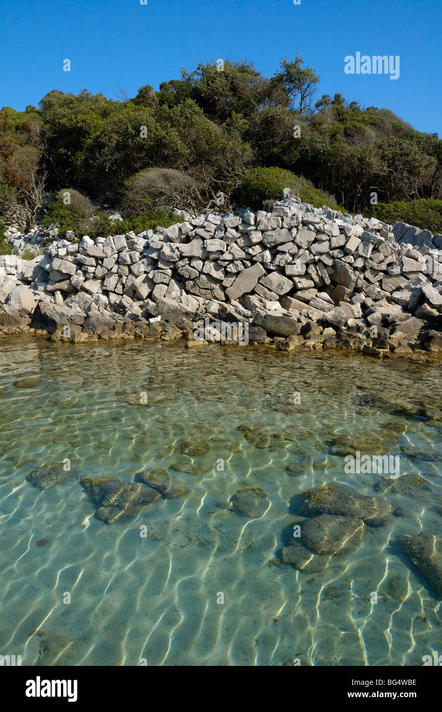 Insel Cres, Bay Meli (Uvala, Meli), Kroatien, Steineiche (Quercus Ilex) Wald und Trockenmauern Wand am Meeresstrand Stockfoto
