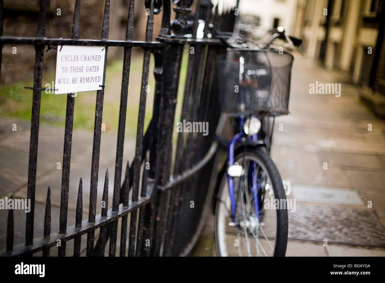 Fahrräder, angekettet an einen Zaun mit Warnzeichen, dass sie in der Universitätsstadt Cambridge in England entfernt werden Stockfoto