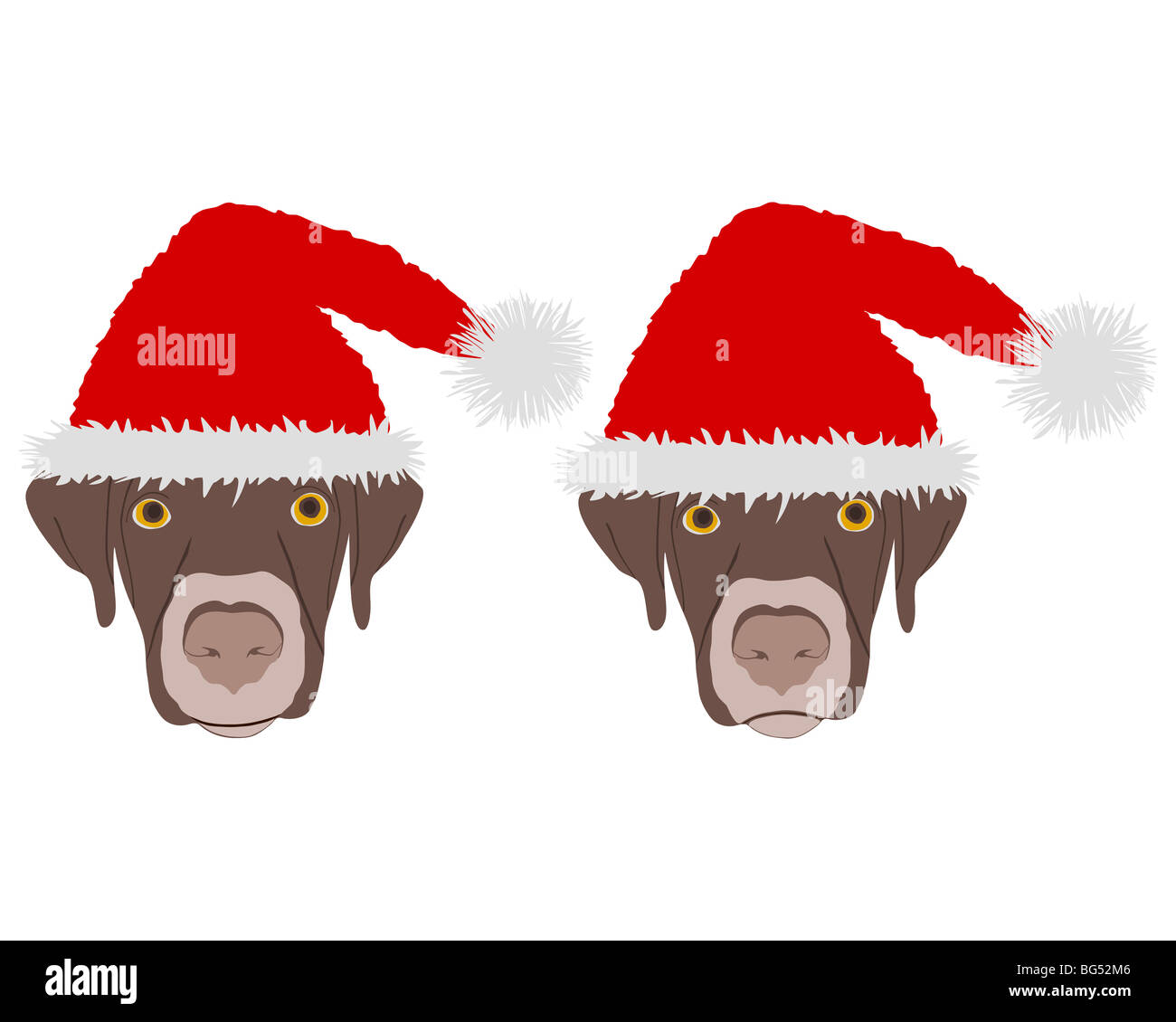 Zwei Hunde Köpfe mit roten Weihnachtsmann-Mützen Stockfoto