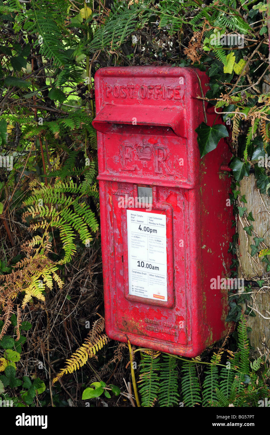 Eine Ländliche Briefkasten In Einer Hecke In Der Nähe Von