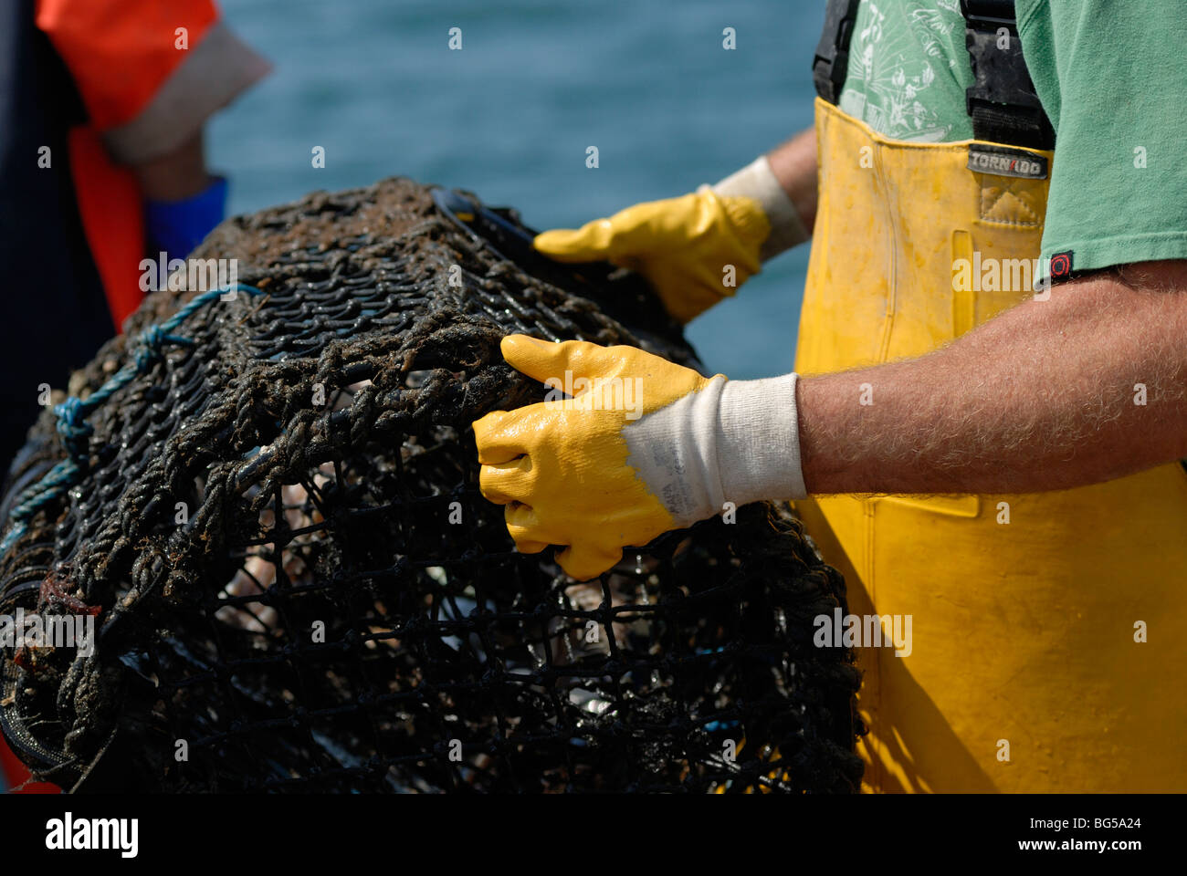 Hummer-Fischer mit einem Lobster Pot, Cardigan Bay, Wales. Stockfoto