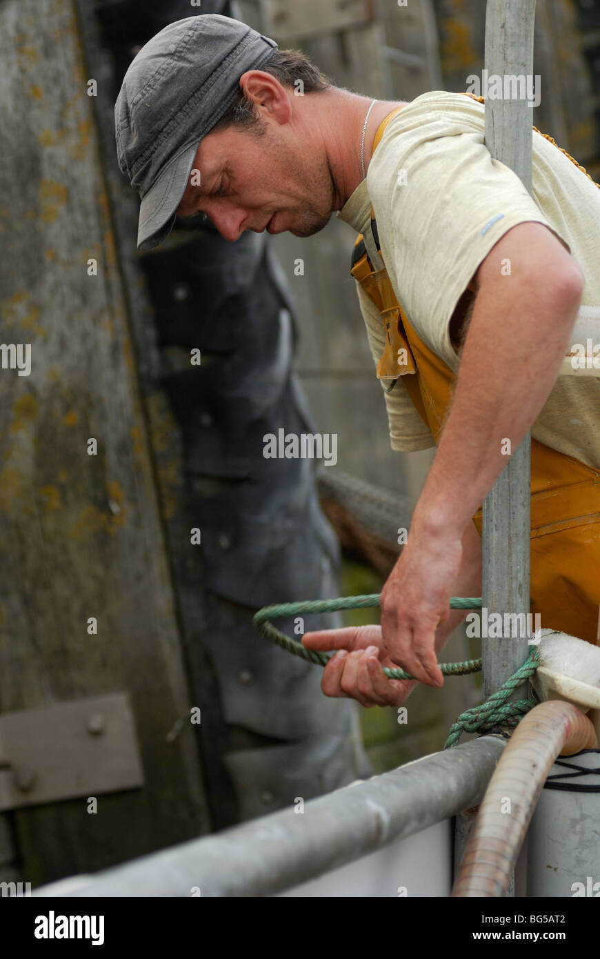 Fischer binden von einem Seil, das Boot am Kai, Aberystwyth, Wales festmachen. Stockfoto