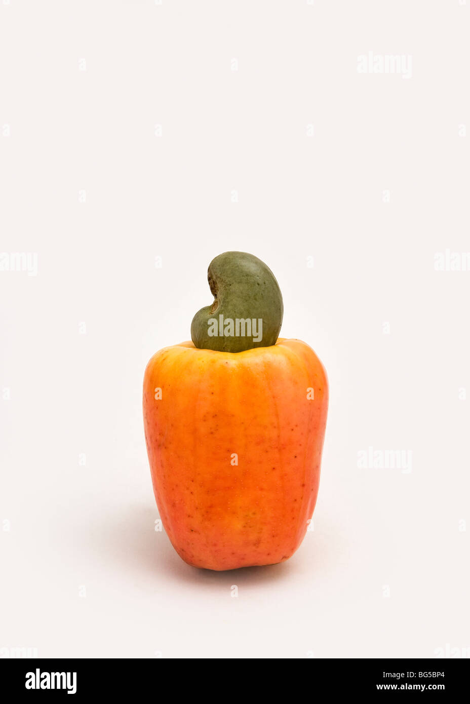 Close-up Studio Bild der brasilianischen Frucht der cajù. Brasilien. Stockfoto
