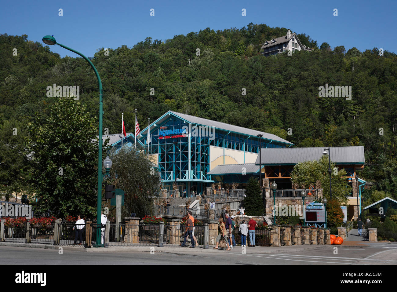 Ripley's Aquarium of the Smokies in Gatlinburg Tennessee in den USA Nordamerika US Daily Life Hi-res Stockfoto