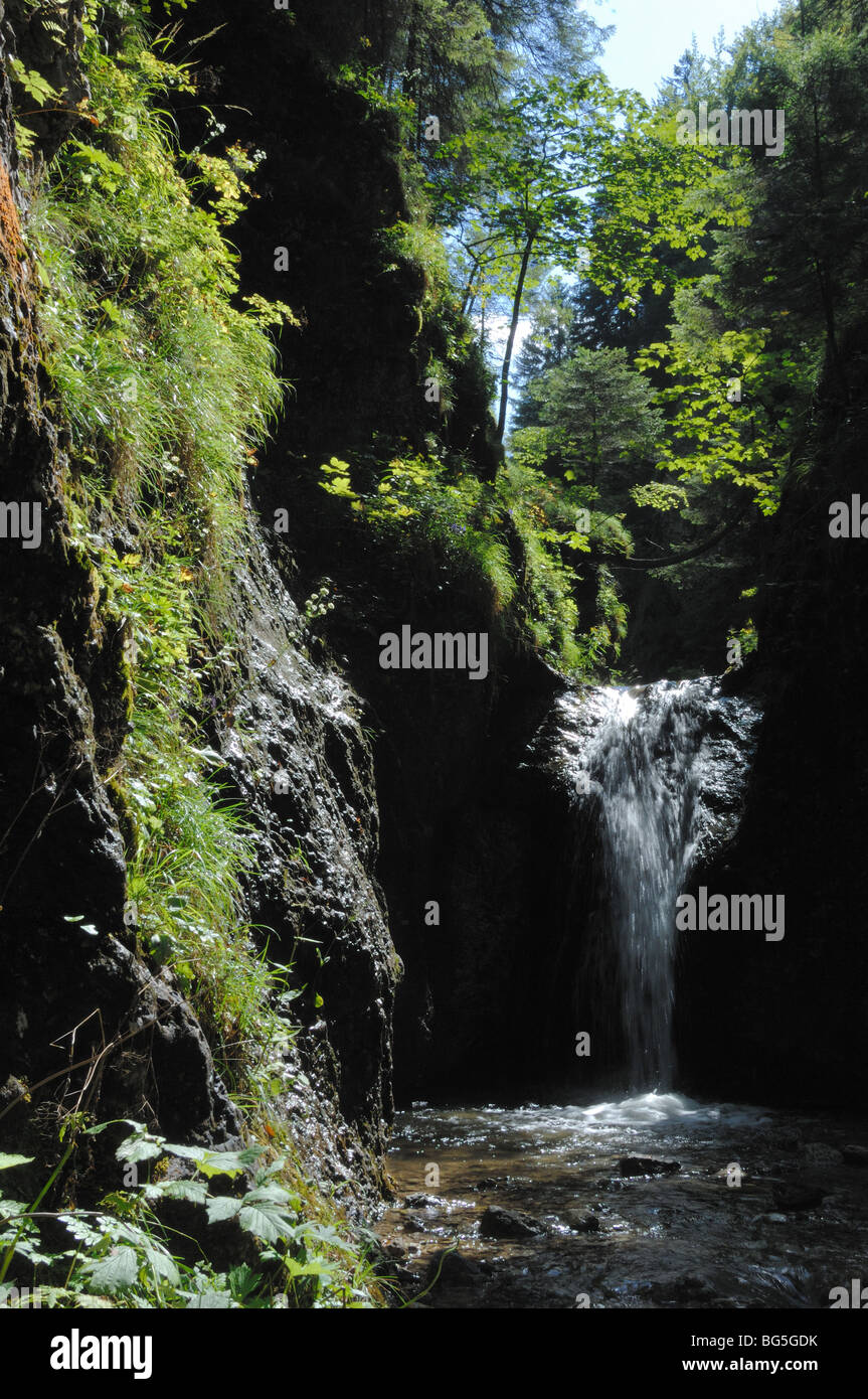 Ein Wasserfall in Horne Diery Tal Vratna Region in Mala Fatra oder kleine Fatra Nationalpark Slowakei Stockfoto