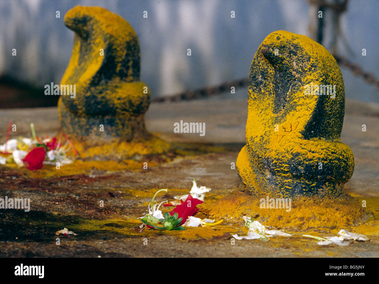 Idole der Schlange-Götter in einem traditionellen Wäldchen in Kerala, Indien Stockfoto