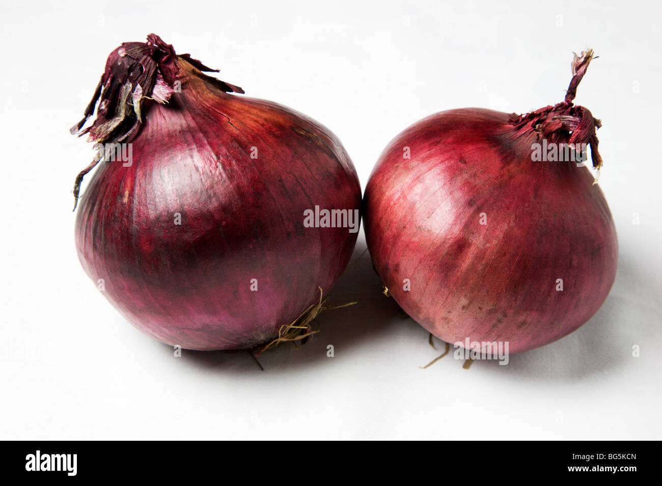 Zwei rote Zwiebeln auf einem weißen Hintergrund Stockfoto