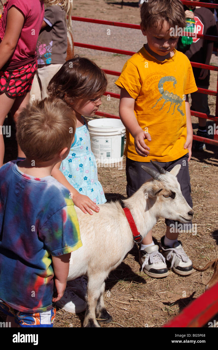 Kinder mit einer Ziege am Streichelzoo Stockfoto